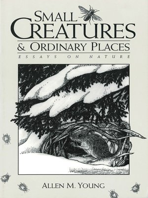 cover image of Small Creatures and Ordinary Places